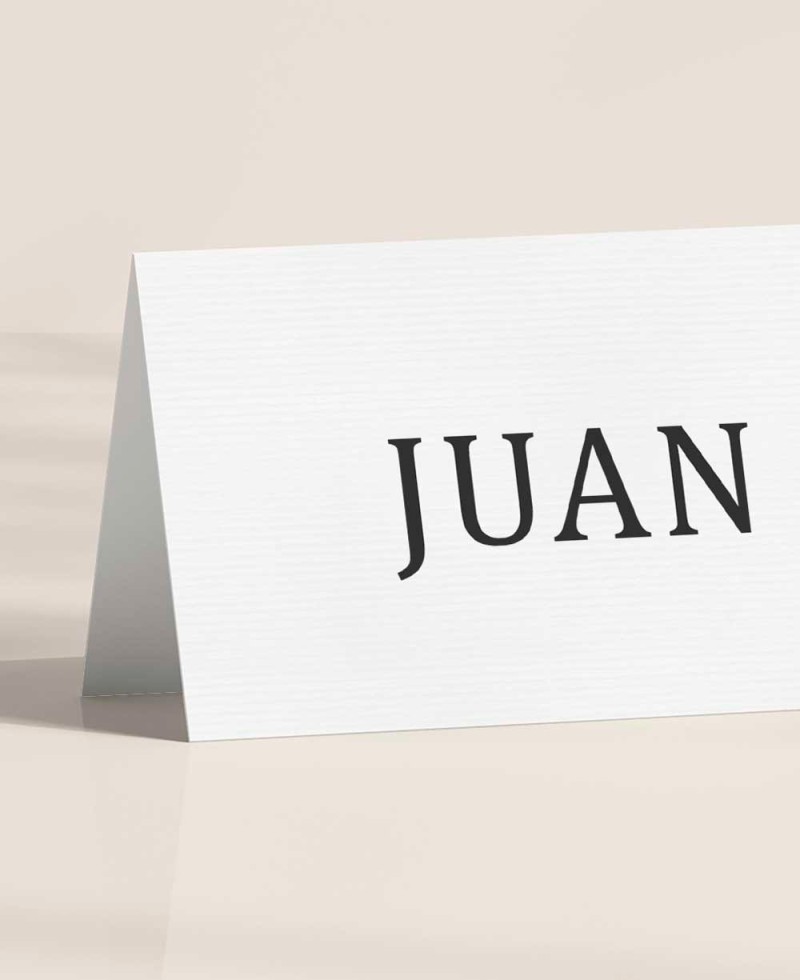 Livro de lugar de casamento elegante e minimalista, nomes de convidados Livro de lugar de casamento elegante e minimalista, nomes de convidados