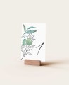 Wedding table number watercolor olive and orange blossom
