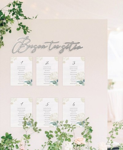 Zoom seating plan decorative poster