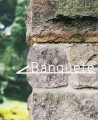 Pfeil für Hochzeiten Kalligrafische Typografie