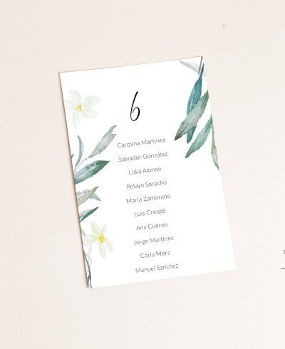 Seating plan for olive and orange blossom weddings