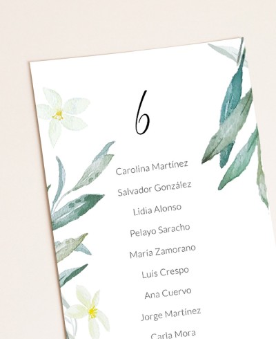 Zoom seating olive and orange blossom plan