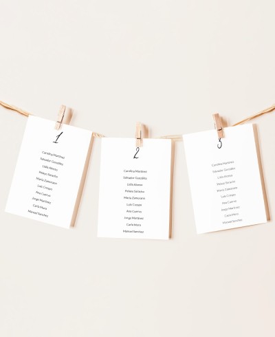 Minimaler Hochzeitstischplan Paris