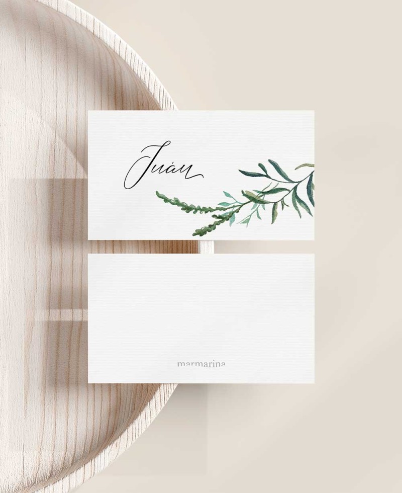 Coleção botânica do sitebrand do casamento Coleção botânica do sitebrand do casamento