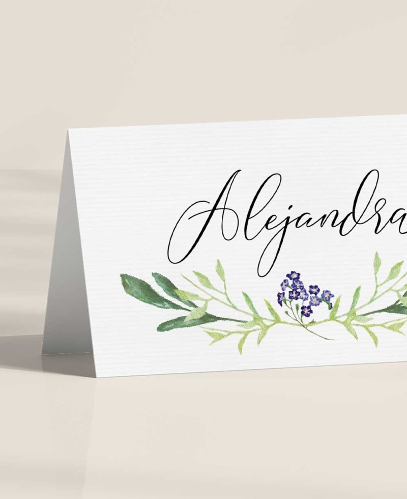 Site de casamento Zoom Jacintos selvagens Site de casamento Zoom Jacintos selvagens