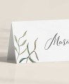 Zoom-Tischbänke für Olivenhochzeiten