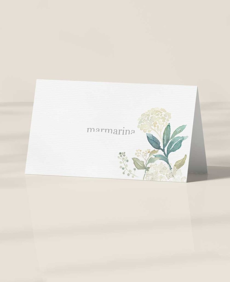 Espaços reservados para casamento de hortênsias brancas Espaços reservados para casamento de hortênsias brancas