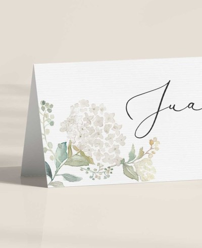Zoom Wedding Platzhalter Botanische Sammlung
