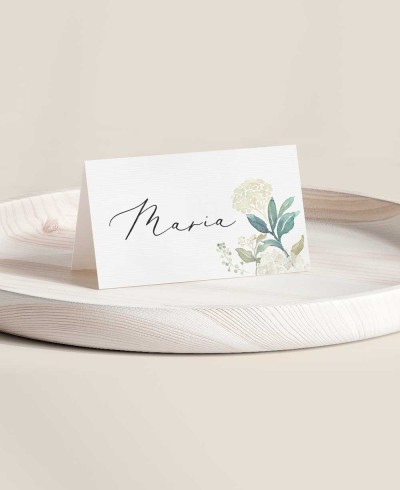 Hochzeitstischstände, botanische Sammlung