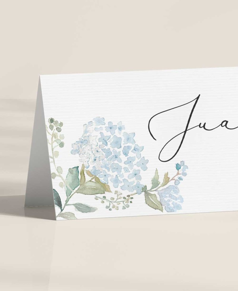Zoom elegante espaço reservado para casamento hortênsias azuis Zoom elegante espaço reservado para casamento hortênsias azuis