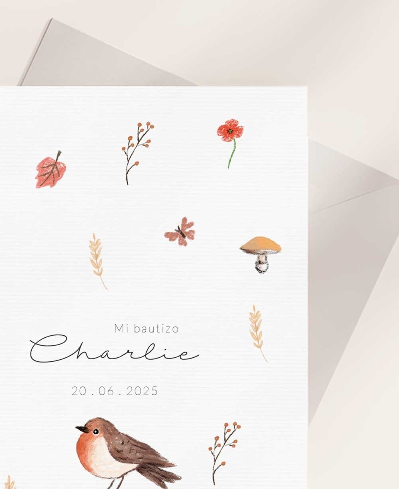 Zoom Baptême Invitations Animaux de la ferme Zoom Baptême Invitations Animaux de la ferme