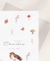 Zoom Baptism Invitations Farm Animals