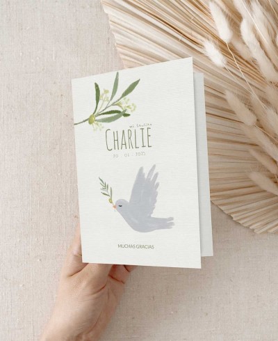 Rappels pour les baptêmes avec colombe et diptyque de l’olivier