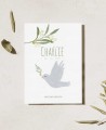 Reminder for baptisms olive tree b6