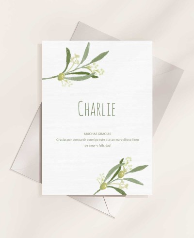 Reminders for baptisms olive branches b6