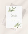 Reminders for baptisms olive branches b6