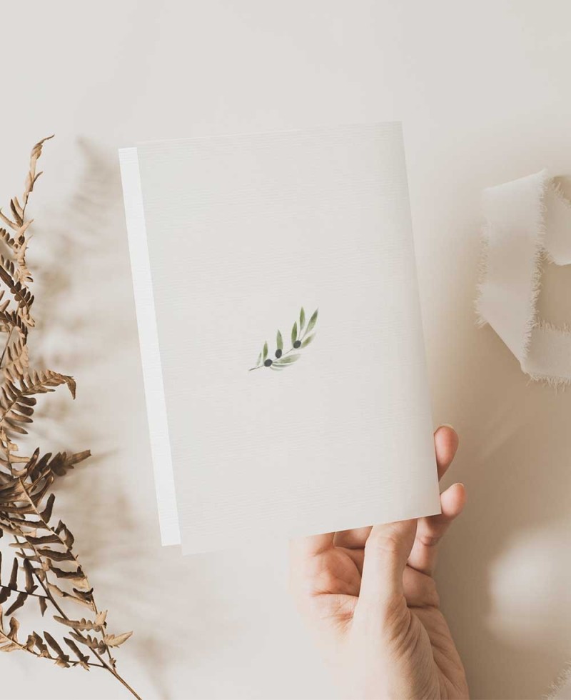 Olive tree reminder for back communion Olive tree reminder for back communion