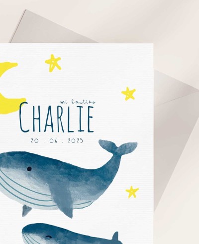 Invitations Zoom pour les baptêmes marins