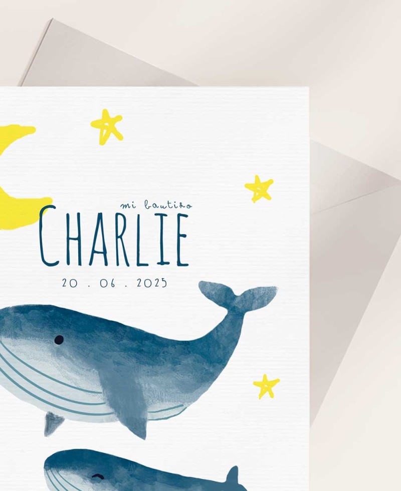 Invitations Zoom pour les baptêmes marins Invitations Zoom pour les baptêmes marins