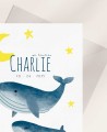 Invitations Zoom pour les baptêmes marins