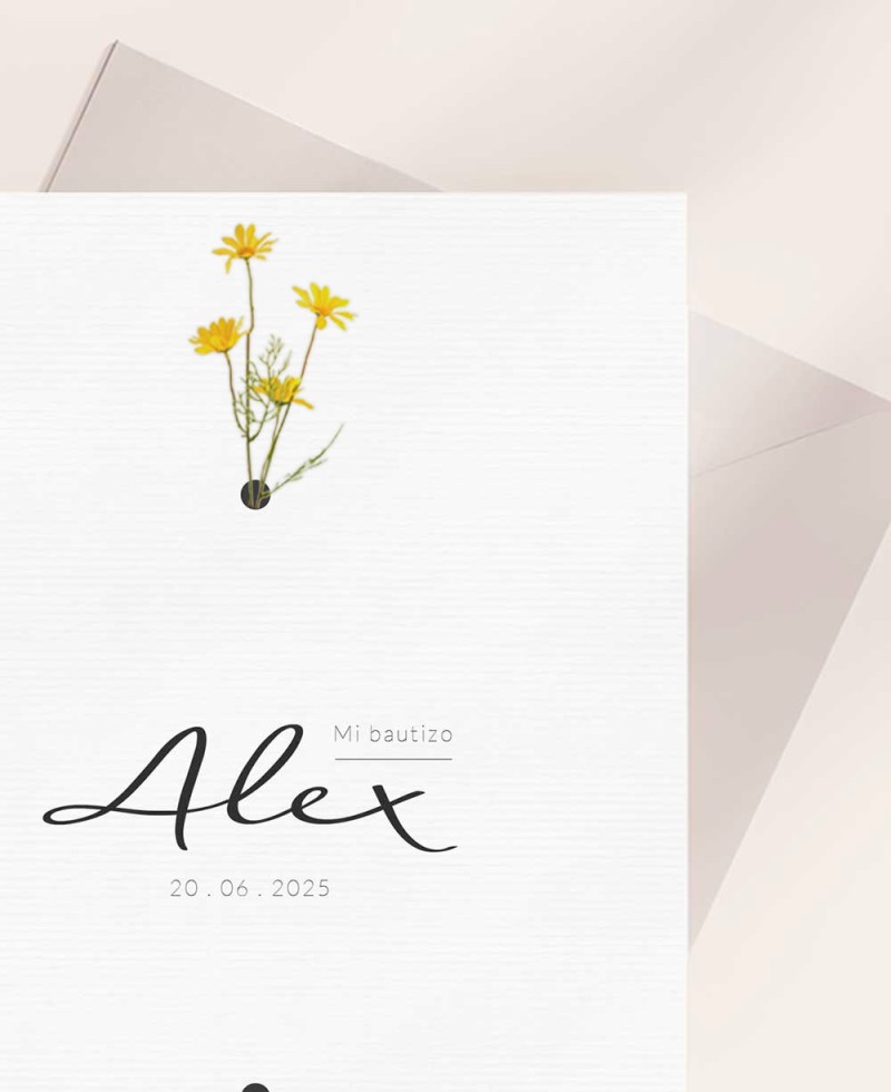 Invitation pour les baptêmes avec des marguerites de style classique Invitation pour les baptêmes avec des marguerites de style classique