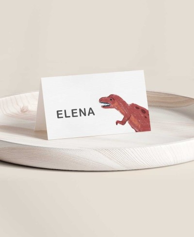 Espaço reservado dobrado para festas de aniversário de dinossauros