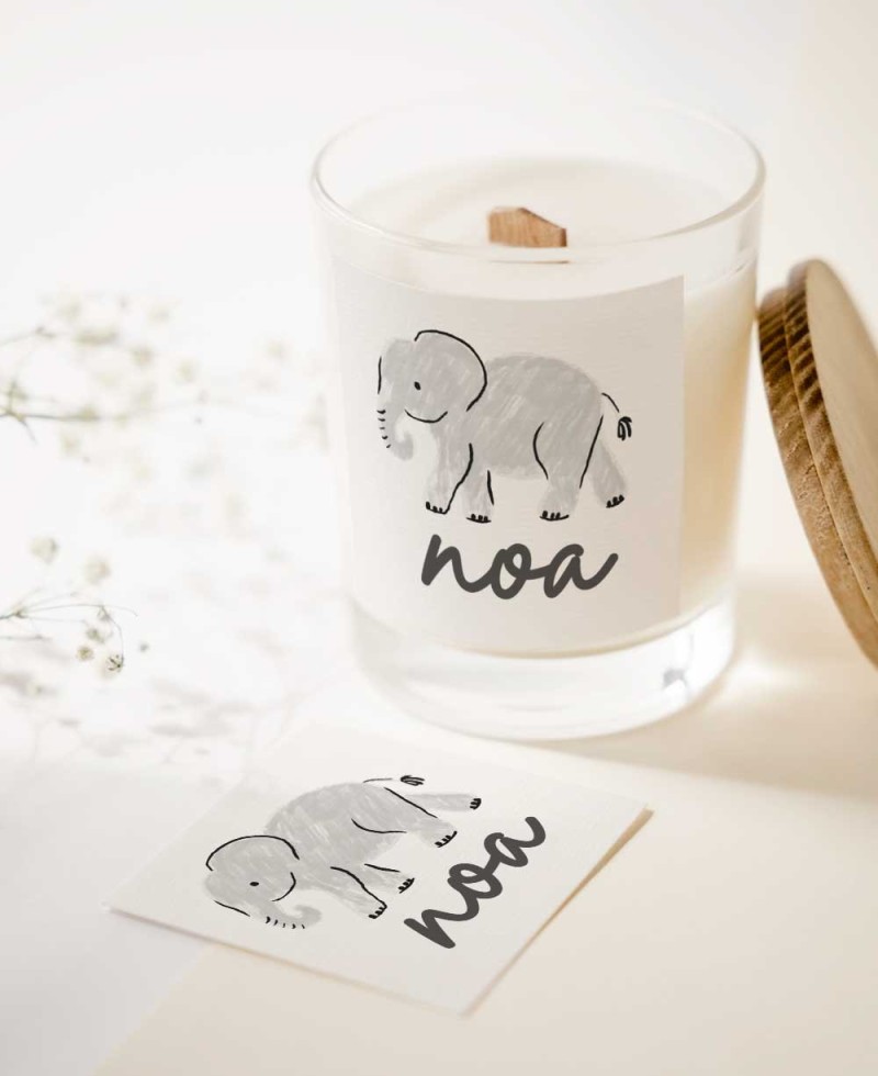 Adesivos quadrados para detalhes de aniversário na selva Adesivos quadrados para detalhes de aniversário na selva