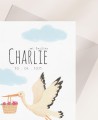 Zoom baptism invitation card animals stork
