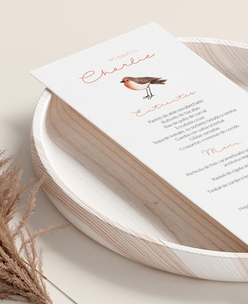 Zoom Minute of Elegant Bird Field Christening Zoom Minute of Elegant Bird Field Christening