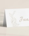 Zoom-Tischstände für traditionelle Olivenbaumtaufen