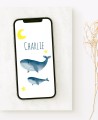 Invitation digitale pour les baptêmes de l’océan
