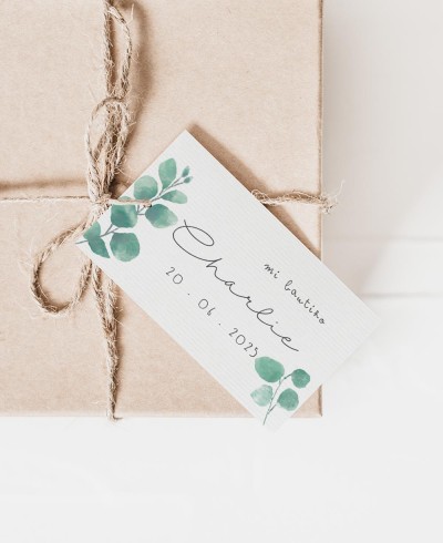 Rectangular labels for botanical baptism details eucalyptus
