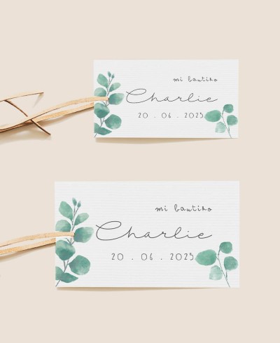 Tailles : étiquettes de baptême eucalyptus rectangulaires