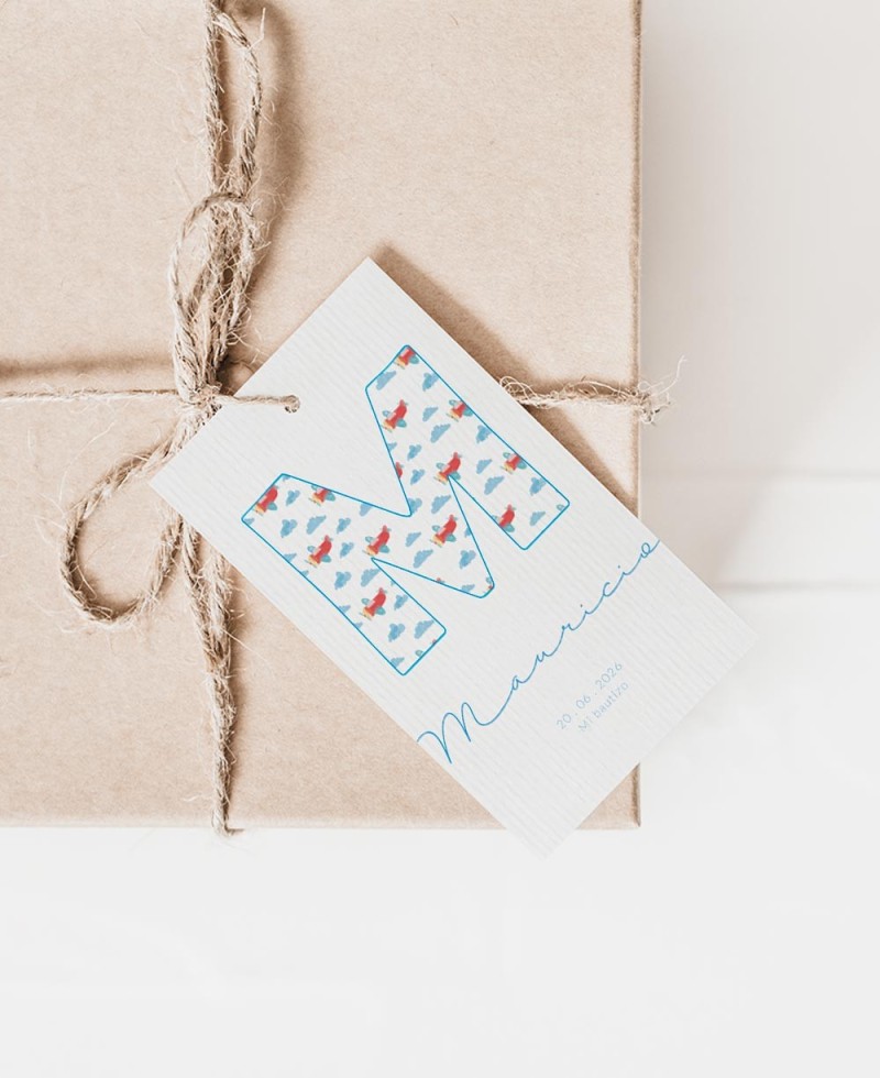 Rectangular labels for initial sky christening details Rectangular labels for initial sky christening details