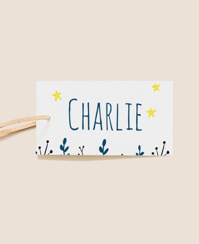 Decorative label for ocean christening gifts