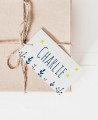 Étiquettes rectangulaires pour détails de baptême étoiles marinera