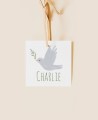 Label for botanical baptism details olive tree