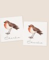 Autocollants carrés pour baptêmes d’oiseaux sur le terrain