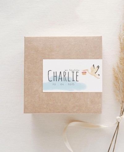 Pegatinas rectangulares para detalles de bautizos cigüeña