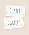 Autocollants rectangulaires pour cadeaux de baptême étoiles océan