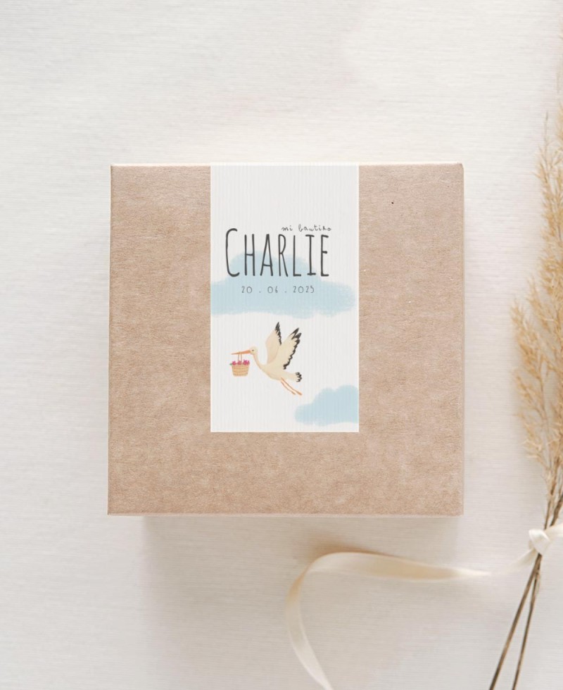 Pegatinas rectangulares para detalles de bautizos cigüeña nubes