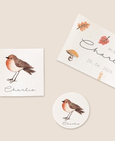 Formats autocollants pour l’automne oiseau baptême détails