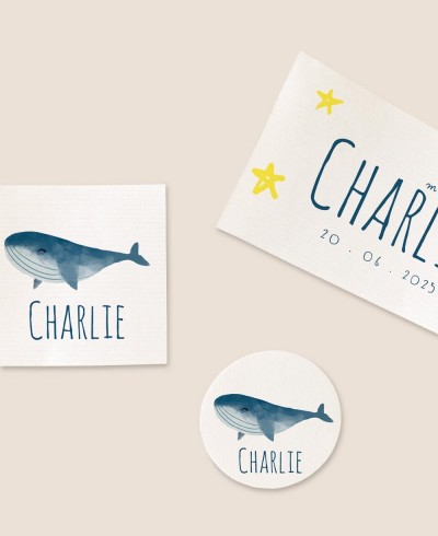 Formats stickers for baptism details marinera océano