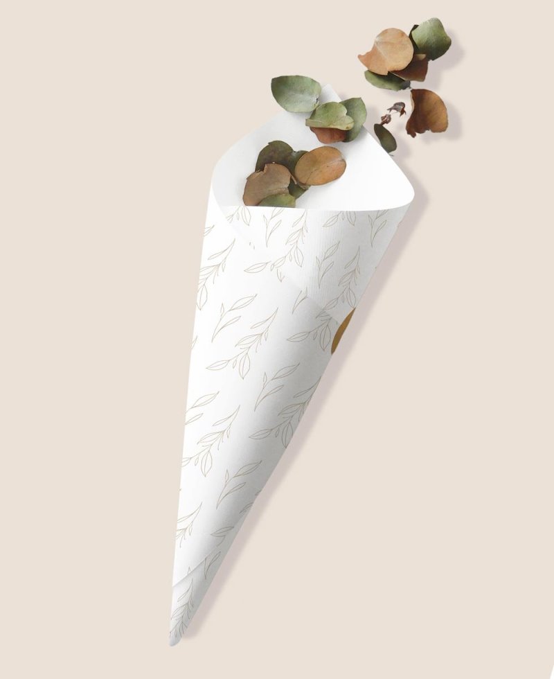 Cono di zucchero classico per il battesimo botanico Cono di zucchero classico per il battesimo botanico