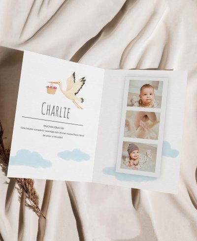 Interior Stork Baptism Reminders