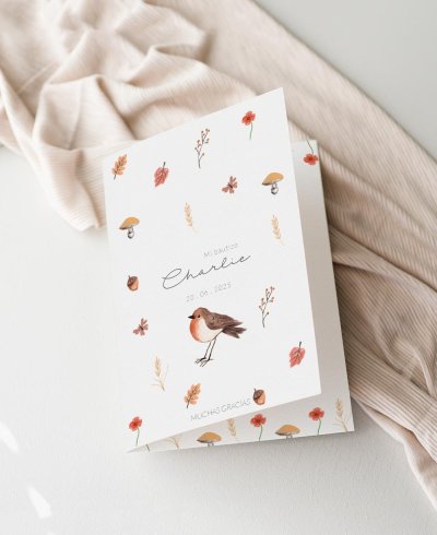 Copertina grazie battesimo animali campo