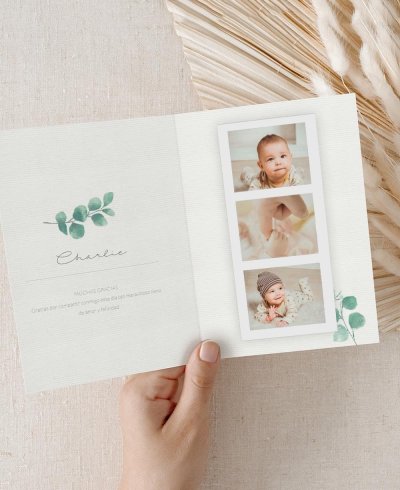 Interior reminders for botanical baptisms