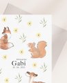 Zoom promemoria grazie battesimo foresta