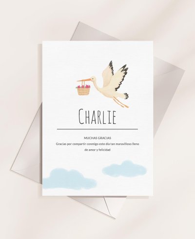 Cicogna posteriore promemoria animali