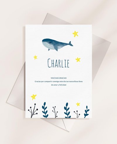 Indietro Ocean Whale Reminder